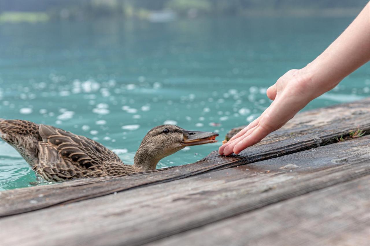 Die Weisse Wand Weissensee Esterno foto